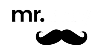 Mr Play logo